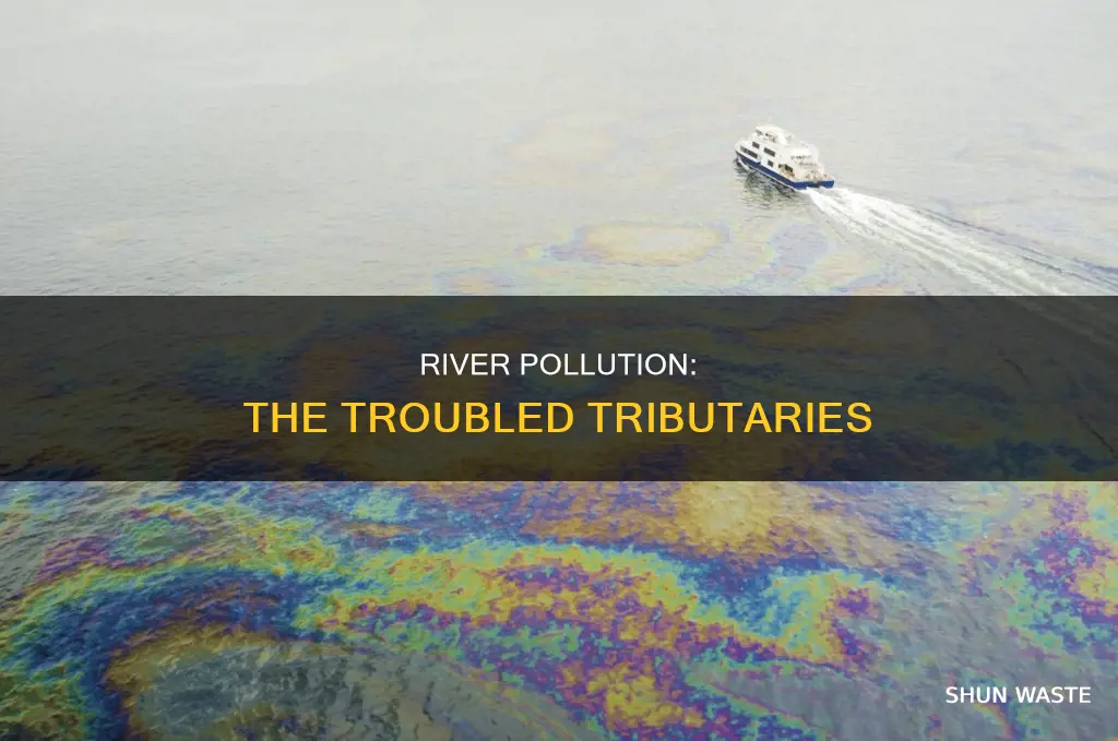 what part of a river system has the most pollution