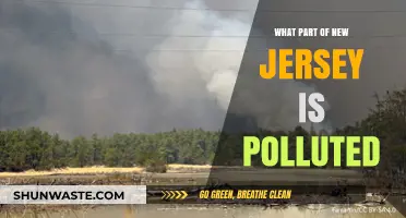 Industrial Pollution in New Jersey: Where's the Danger?
