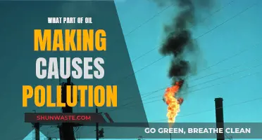 Unveiling Oil's Dark Secret: The Polluting Stage