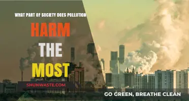 Pollution's Impact: The Most Vulnerable in Society
