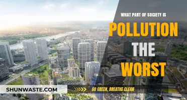 Pollution's Impact: Where Society Suffers Most