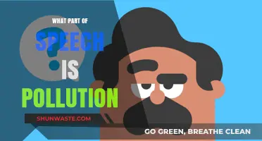 The Part of Speech Pollution Falls Under