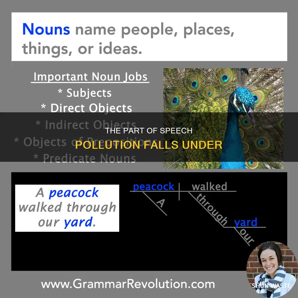 what part of speech is pollution
