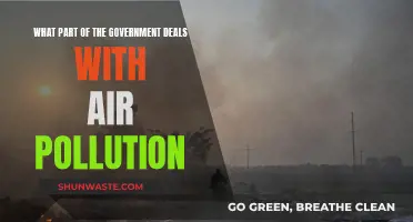 Air Pollution: Who's in Charge?