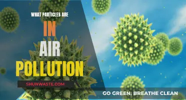 Air Pollution: Harmful Particles, Harmful Effects