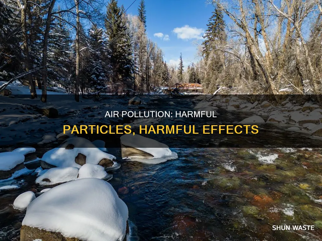 what particles are in air pollution