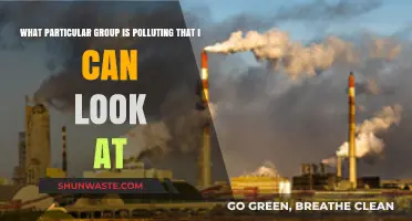 Unveiling the Hidden Polluters: A Guide to Targeted Action