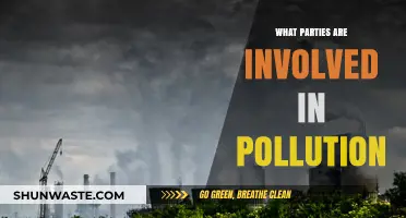 Who Pollutes? The Main Culprits of Environmental Degradation