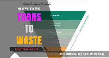 From Farm to Trash: Understanding Food Waste Components