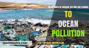 Hawaiian Culture: Ocean Pollution's Unseen Culprit