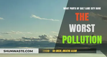 Salt Lake City's Most Polluted Areas Revealed
