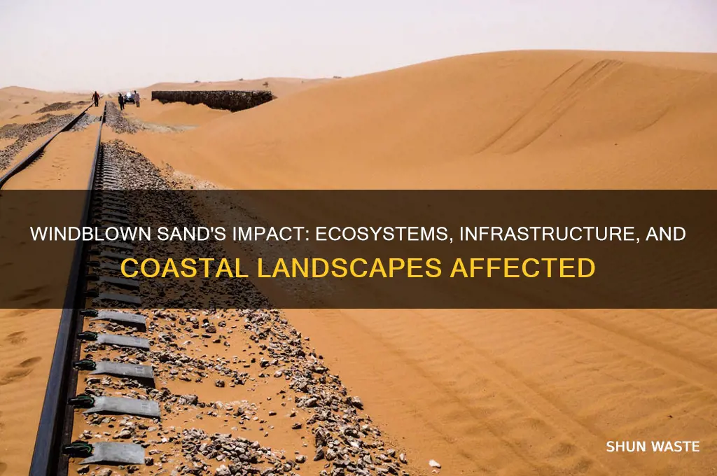 what parts of the environment does windblown sand affect