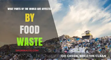 Global Impact of Food Waste: A Comprehensive Overview