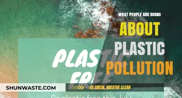 People's Action Plans for Plastic Pollution