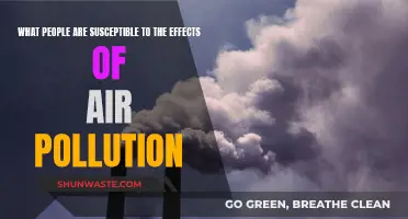Who Suffers Most from Air Pollution?