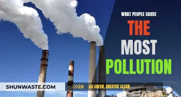 Human Activities: The Primary Polluters