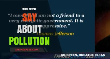 Pollution: Public Opinions and Voices