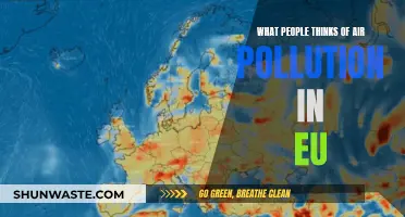 Air Pollution: EU Citizens' Thoughts