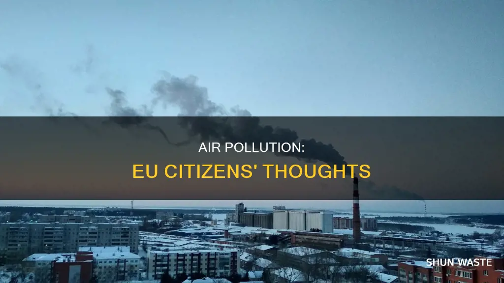 what people thinks of air pollution in eu