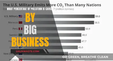 The Corporate Shadow: Unveiling Big Business' Impact on Pollution