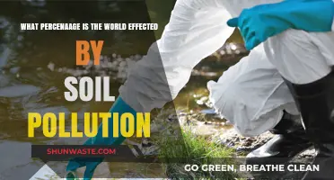 Soil Pollution: A Global Crisis Affecting Majority of the World