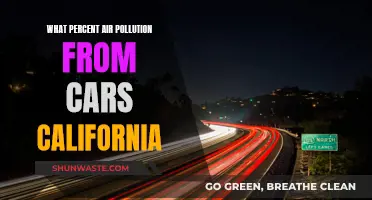 Cars and California's Air: Pollution Percentages