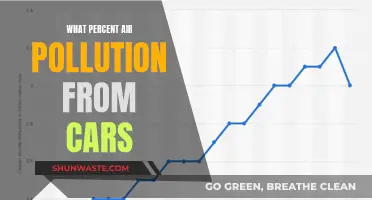 Cars' Air Pollution: What's the Percentage?