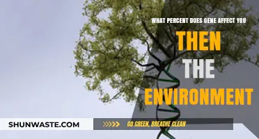 Genes vs. Environment: Unraveling Their Impact on Your Life