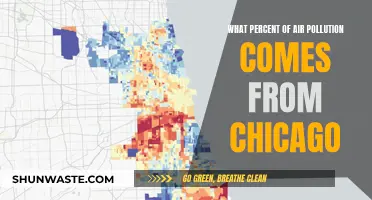 Chicago's Air Pollution: What's the Real Damage?
