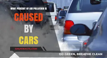 The Surprising Impact: How Much Car Emissions Pollute Our Air