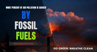 Unveiling the Fossil Fuel's Impact: A Deep Dive into Air Pollution