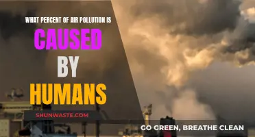 Human Impact: Unveiling the True Extent of Air Pollution