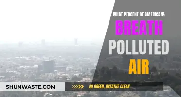 Air Pollution in America: How Many Are Affected?