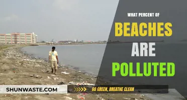 Beaches: Polluted and Pristine — What's the Percentage?