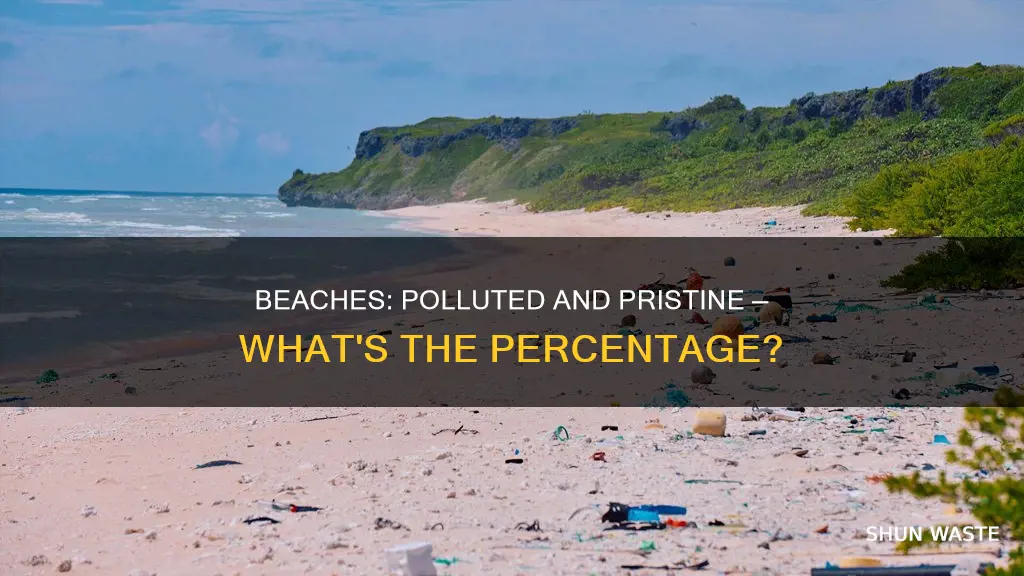 what percent of beaches are polluted