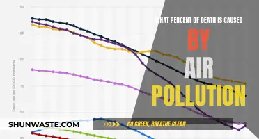 Air Pollution's Deadly Impact: A Shocking Statistic