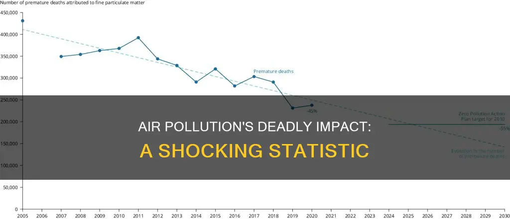 what percent of death is caused by air pollution