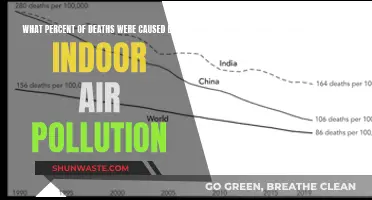 The Hidden Killer: Unveiling the Surprising Impact of Indoor Air Pollution on Mortality