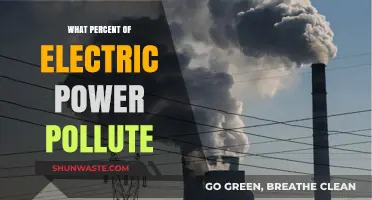 Electric Power Pollution: What's the Environmental Impact?