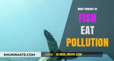 Fish Diet: Pollution Consumption Percentage