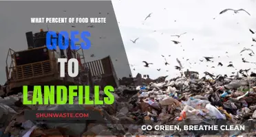The Shocking Truth About Food Waste and Landfills: A Deep Dive