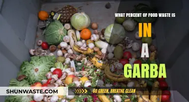 Uncovering the Shocking Truth About Food Waste in Our Garbage