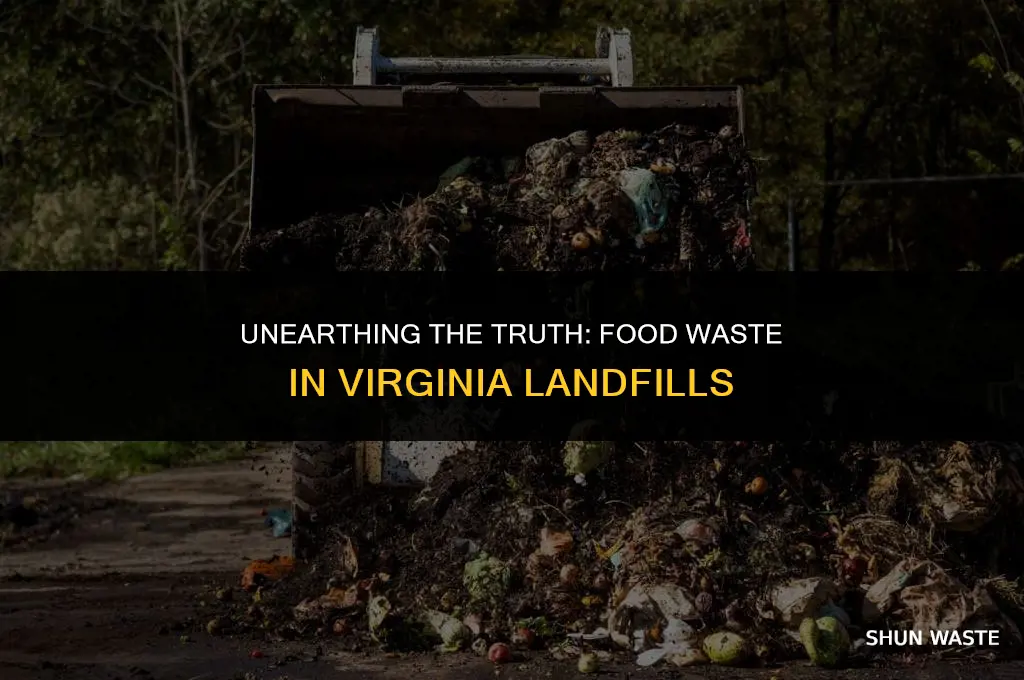 what percent of food waste is in virginia landfill