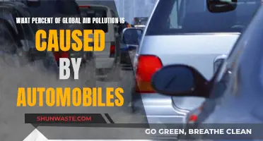 Automobiles: The Hidden Culprits of Global Air Pollution