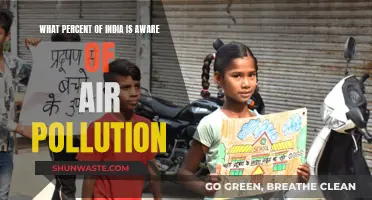 Air Pollution Awareness in India: How Many Know?
