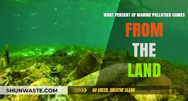 Land's Impact: Understanding Marine Pollution Sources