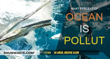 The Ocean's Pollution Crisis: What Percent Is Affected?