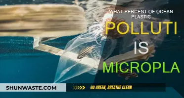 Microplastics: A Huge Ocean Pollution Problem