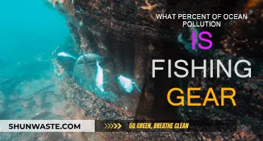 Fishing Gear's Devastating Impact: Ocean Pollution's Dark Secret