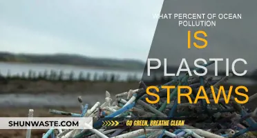 Plastic Straws: How Much Ocean Pollution Do They Cause?